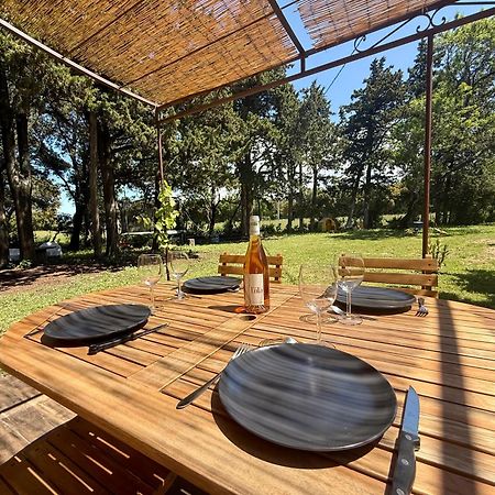 Maisonnette Avec Petite Foret Valréas Kültér fotó