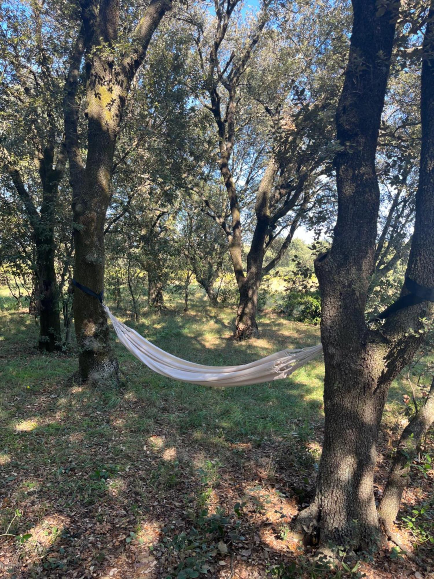 Maisonnette Avec Petite Foret Valréas Kültér fotó